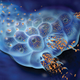 Illustration for article titled Researchers create a ‘trojan-horse’ virus to eliminate cancer in mice